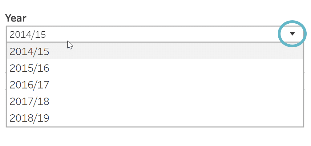 Screenshot of Year filter for updating the Tableau report