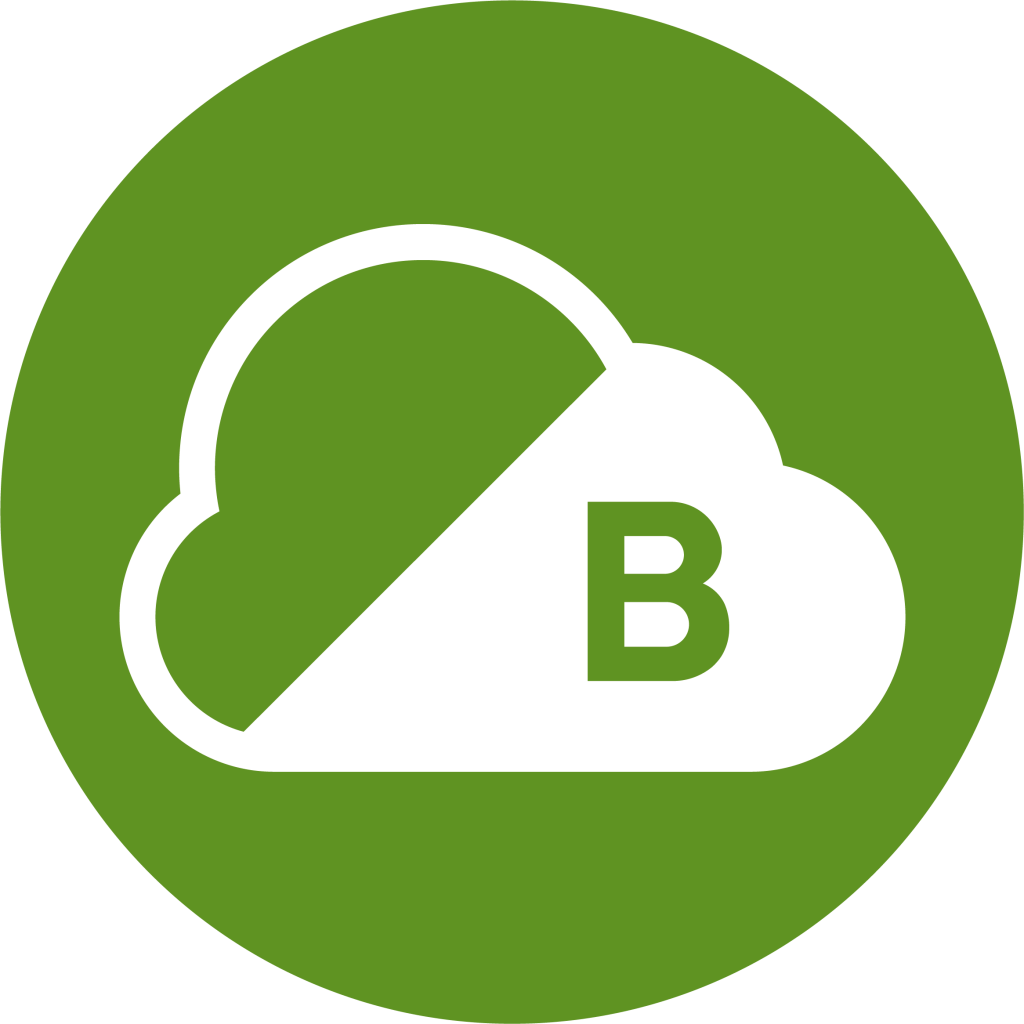 Icon of a white cloud in a green circle of a Clean Air Zone with the letter B indicating a Class B charging zone
